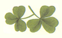 Shamrock Bits